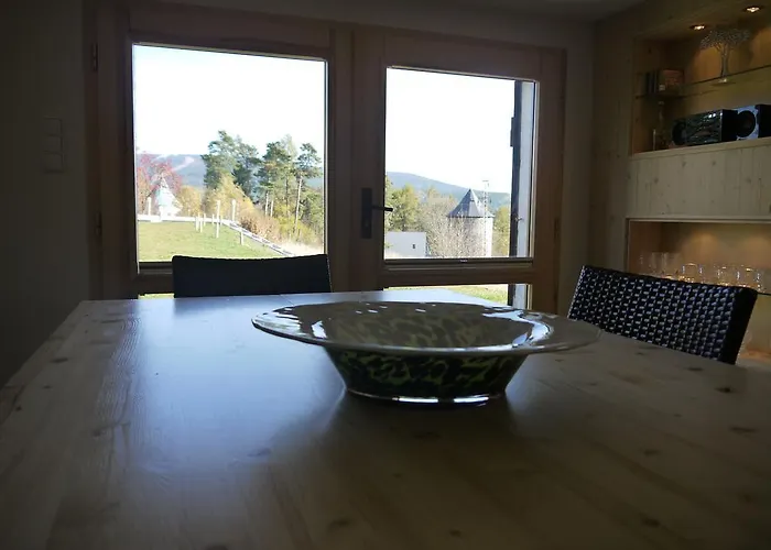 Ferienhaus Maximus Jáchymov
