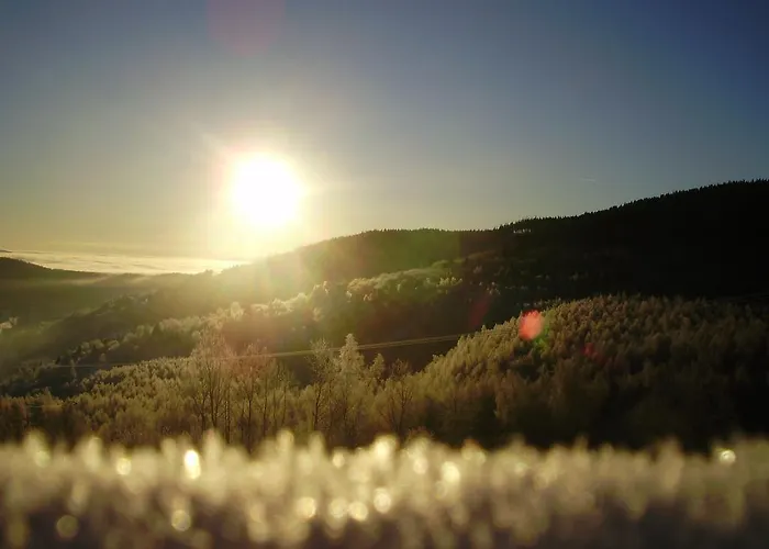 Maximus Semesterbostad