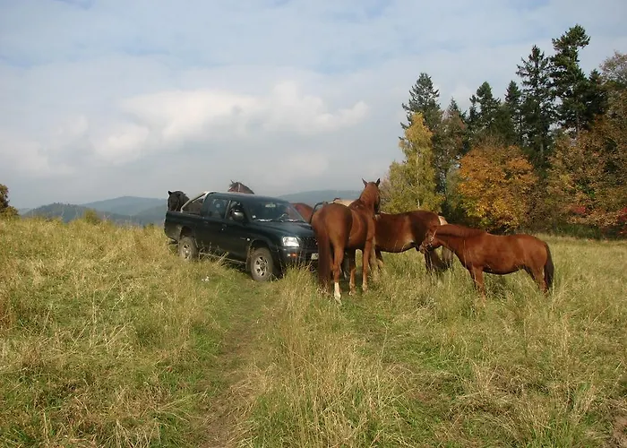 Semesterbostad Maximus *
