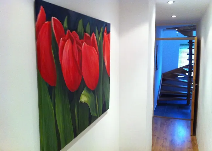 Maximus Semesterbostad *