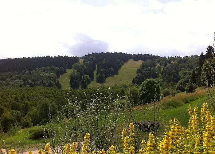 Maximus Semesterbostad *